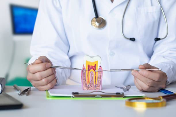 Best Emergency Tooth Extraction in Erie, IL